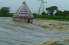 Floods wreak havoc in MP