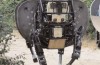 US’s new robot soldiers can gallop at 25kmph