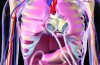 WORLD’S FIRST ARTIFICIAL HEART TRANSPLANT PERFORMED IN FRANCE