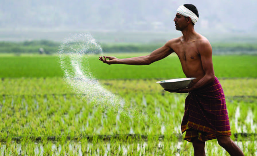 INDIA’S FARM SOPS UNDER LENS AT WTO
