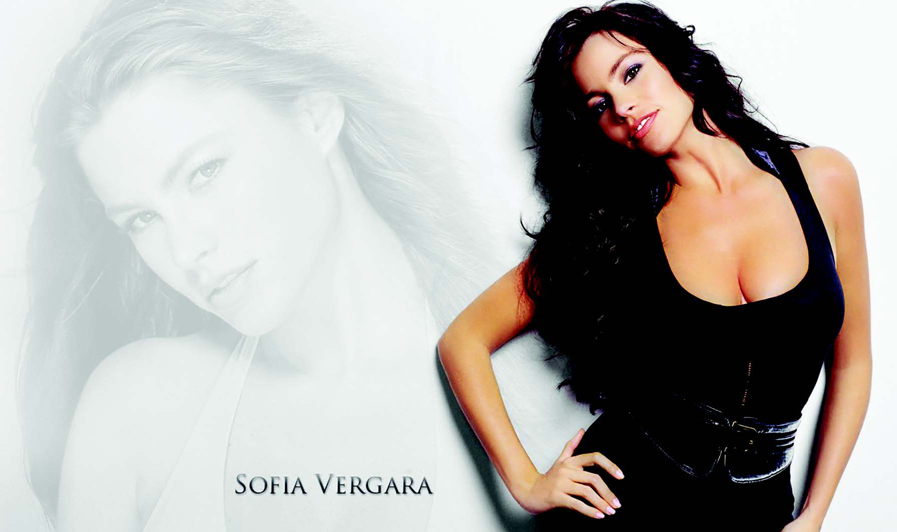 SOFIA VERGARA TO HAVE BABY SOFIA VERGARA TO HAVE BABY