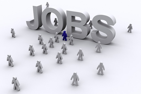 jobs related - employment