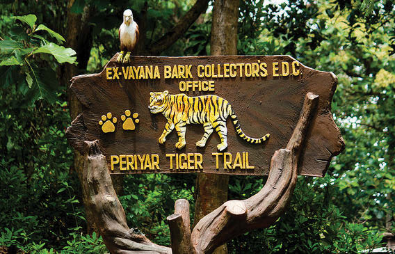 PERIYAR TIGER SANCTUARY — The Indian Panorama