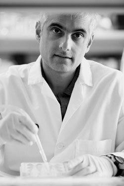 Dr. Sunil Hingorani (Courtesy: Fred Hutchinson Cancer Research Center official website)