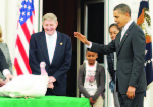 U.S. President Obama waved his hand over Courage the turkey Wednesday, November 23, pardoning the bird from being the guest of honor on someone's Thanksgiving Day table. "I hereby pardon Courage so he can live out his days in peace and tranquility" in Disneyland, where he also will serve as grand marshal Thursday in the Orlando, Fla., theme park's Thanksgiving Day parade. President Obama pardons