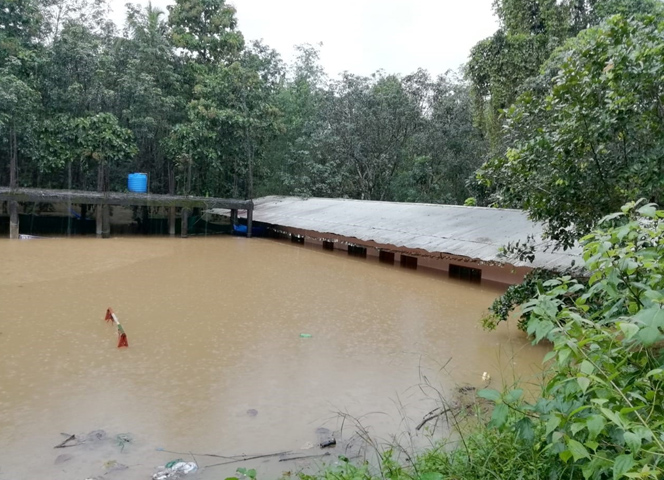 AIA Undertakes  Renovation of  a  Higher Secondary School Building in Kerala