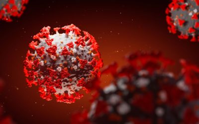 India’s international response to Covid-19