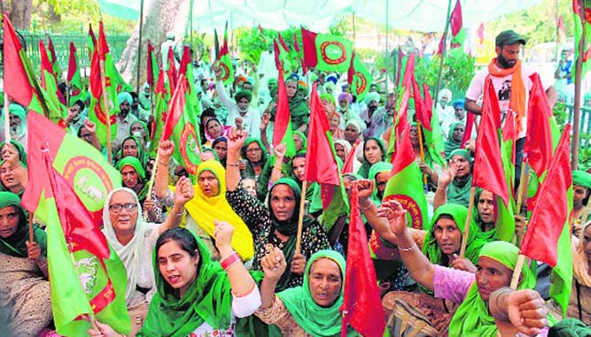 Pic for reclaiming democracy
