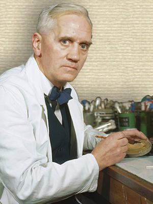 Alexander fleming discovered penicillin. Флеминг ученый.