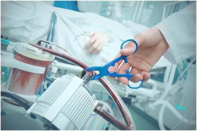 Another Australian state legalises voluntary euthanasia