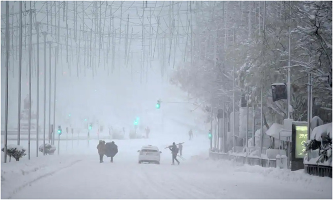 Natural disasters that shocked the world in 2021