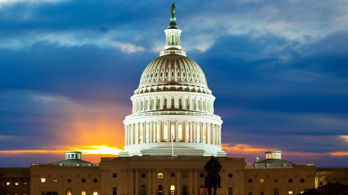 Indian-American high schooler’s artwork to be displayed at US Capitol