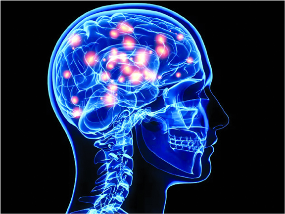 New drug that halts recurring brain tumour growth identified.