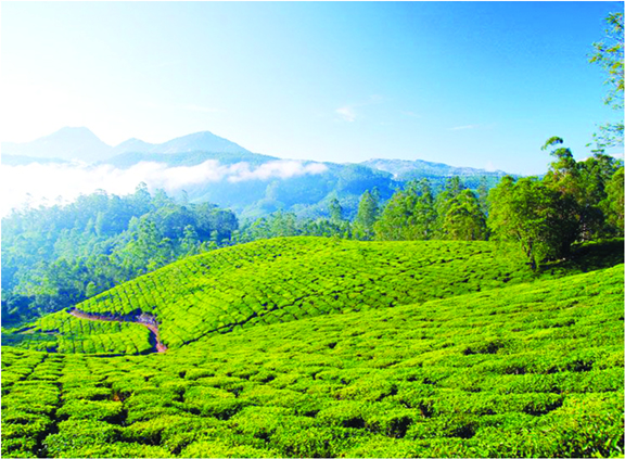 Monsoon Destinations