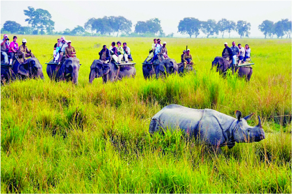 Assam – the hidden gem of northeast