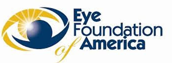 Logo of EFA