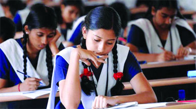 School education