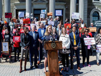 Nassau County Legislature Minority Leader Delia DeRiggi-Whitton (D – Glen Cove) addresses the gathering (Photo : Peter M. Budraitis)