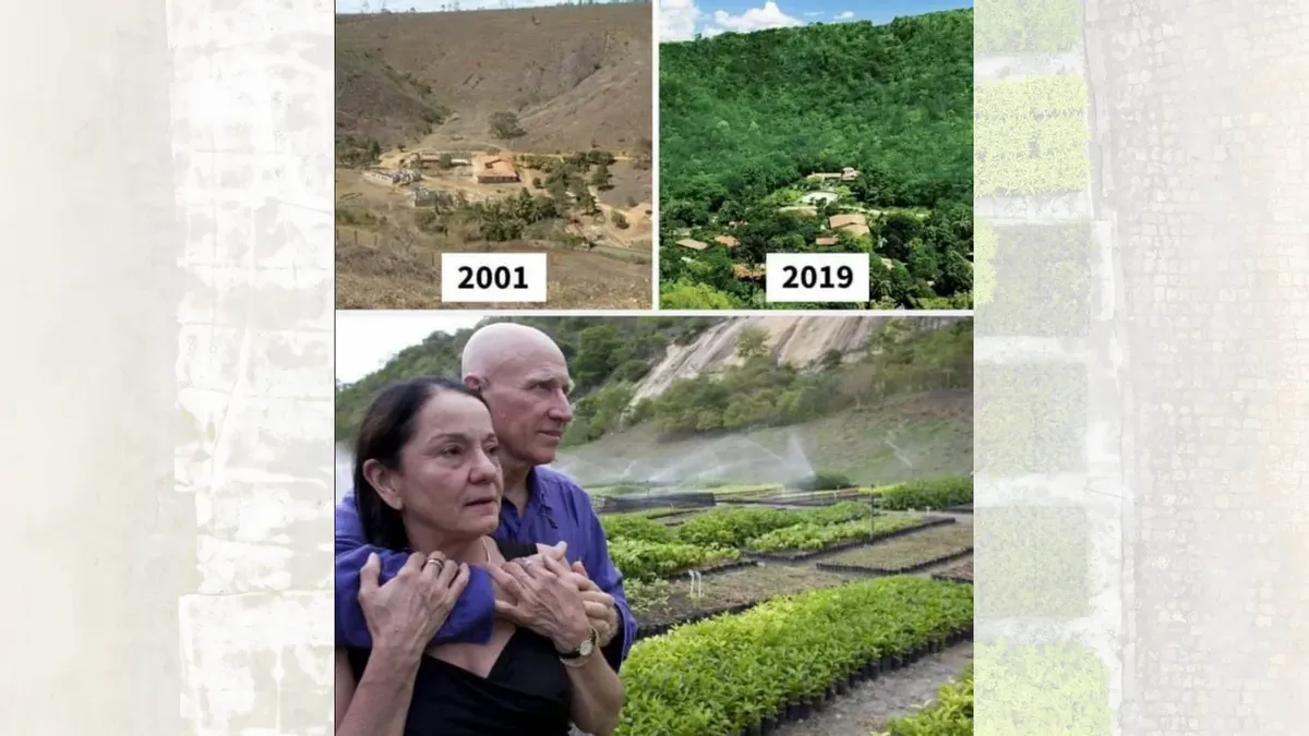 Couple in Brazil Planted More Than 2M Trees in 20 Years To Recreate Forest