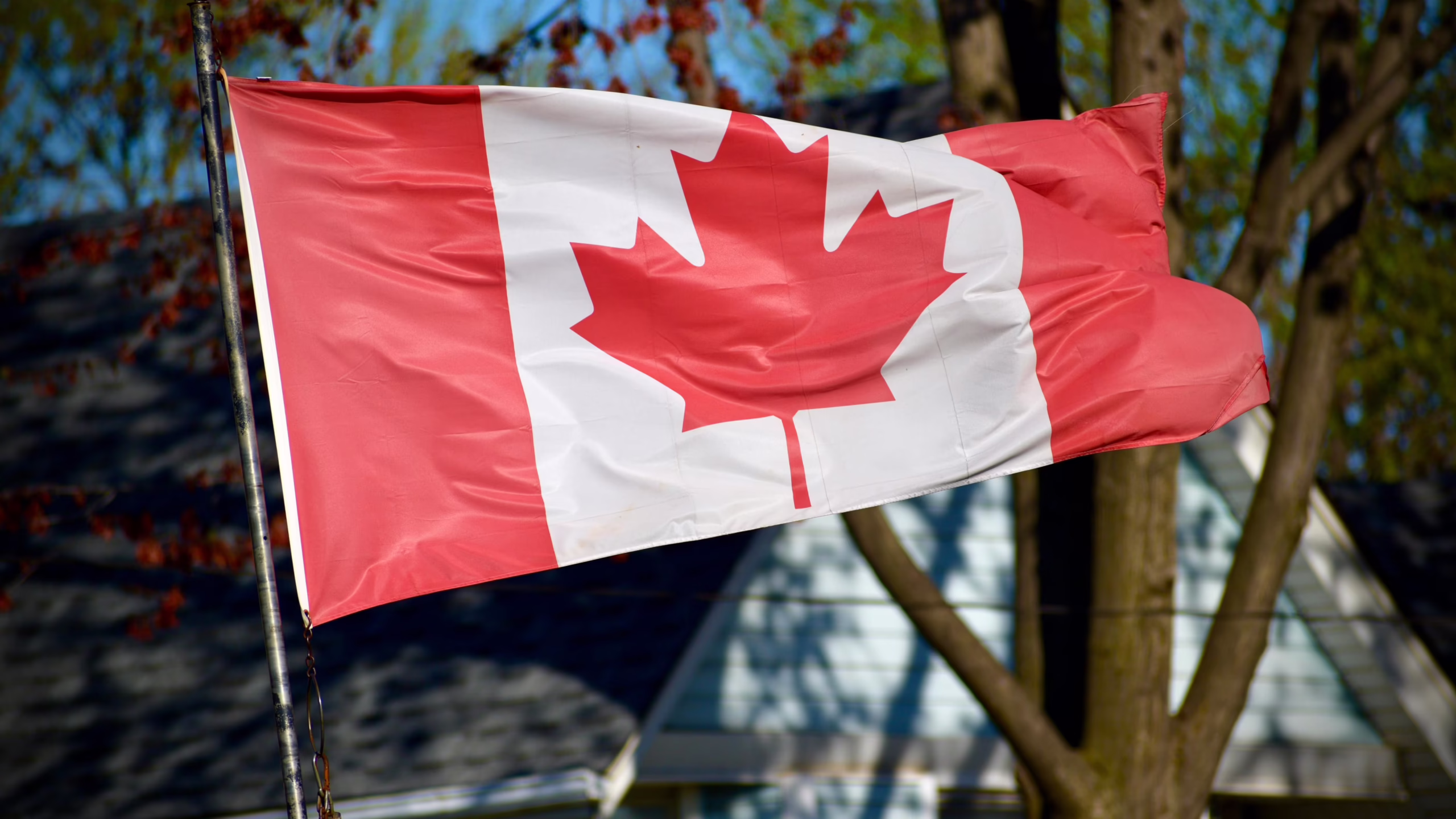 Changes in bail, immigration laws may dominate the House of Commons when it resumes its sitting after a break