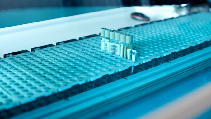 synthetic-heptapeptide
