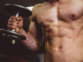 Muscle Gain and Fat Gain