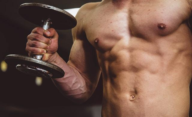 Muscle Gain and Fat Gain