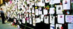 THE HUMAN SCALE OF THE TRAGEDY THE HUMAN SCALE OF THE TRAGEDY